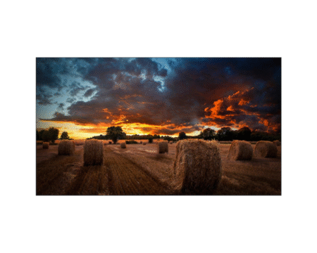 55" Ultra Narrow Bezel LCD Video Wall